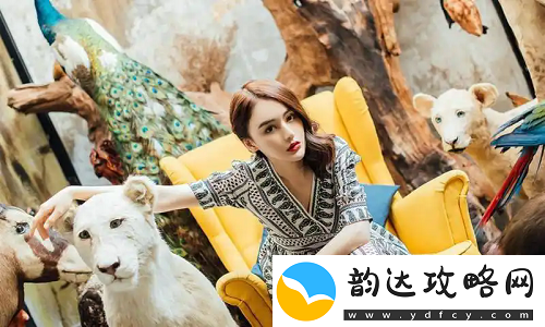 销售的销售秘密3HD中字
