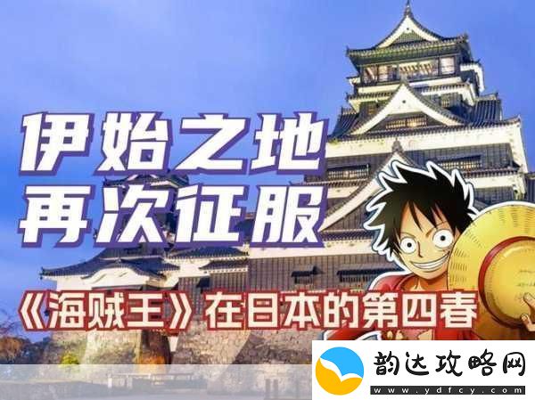 口袋海贼王
