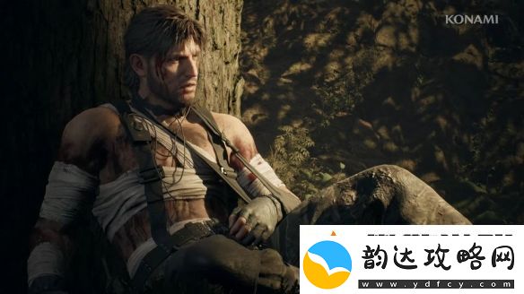 潜龙谍影
