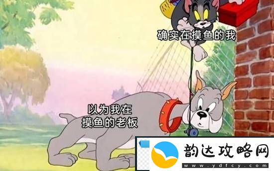 和脸一起出镜的博主