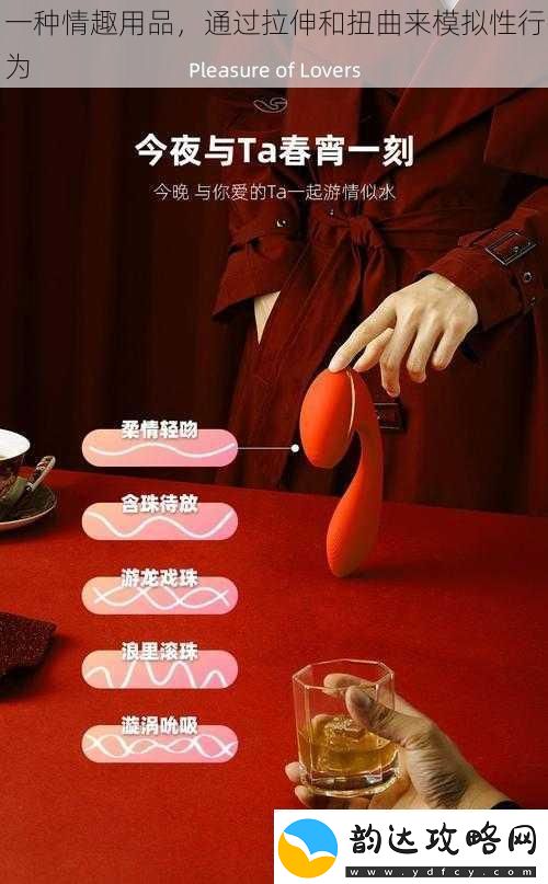 一种情趣用品