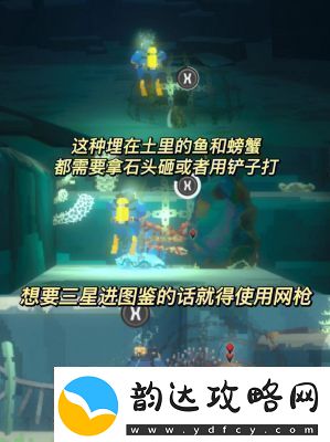 潜水员戴夫手机版预计2025年4月上线详细介绍和预约奖励大揭秘