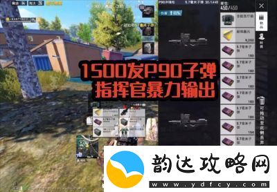 和平精英指挥官玩法