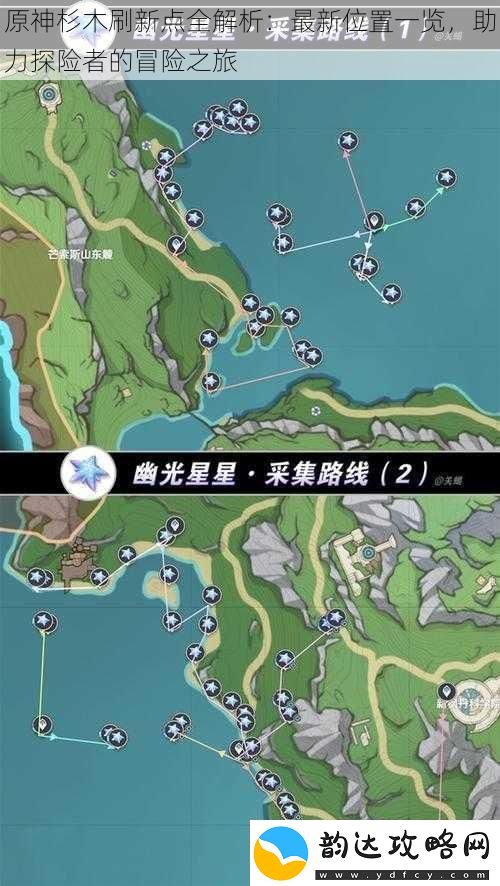 原神杉木刷新点全解析