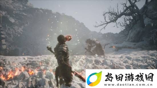 又有玩家提前拿到黑神话