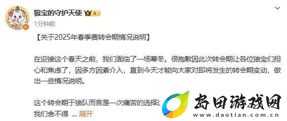 狼队转会说明