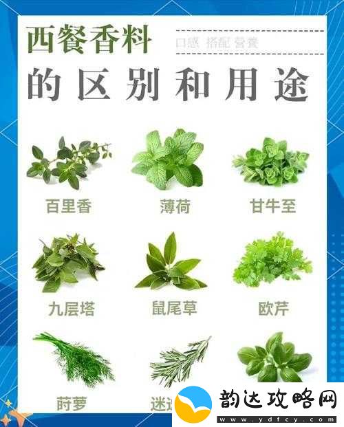 盛世芳华香道深度求索