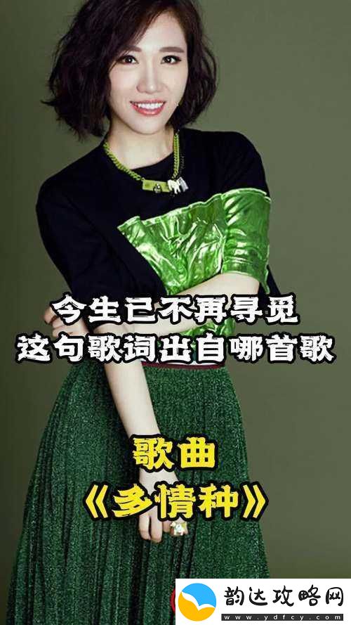 今生已不再寻觅那首歌中藏着无尽的过往与深情