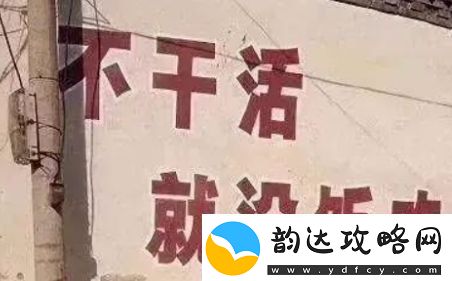 年轻人的福报是什么梗络用语