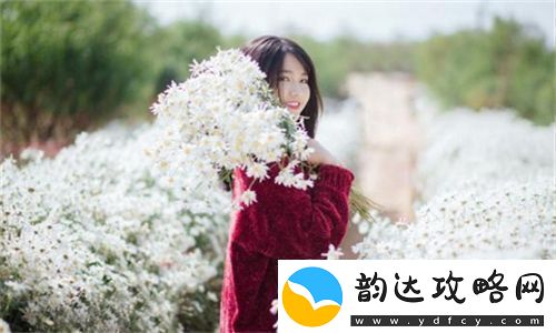 好看的韩国三色电费闪耀生活品质提升