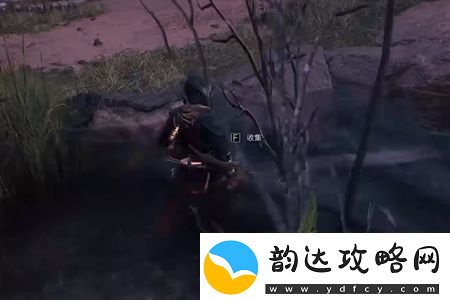 刺客信条幻景圆顶之乐谜团怎么解