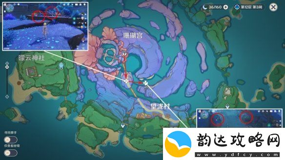 原神珊瑚真珠分布图