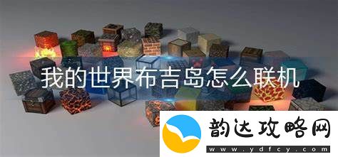 如何在我的世界布吉岛中进行联机游戏