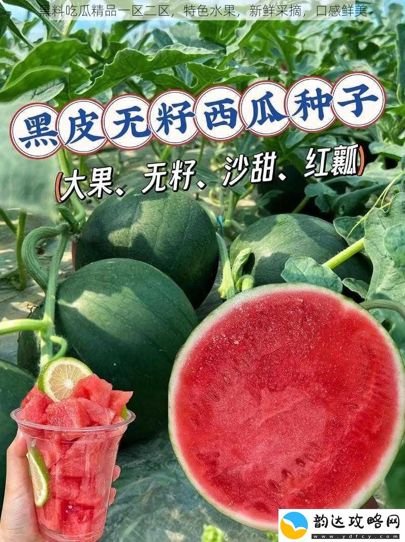 黑料吃瓜精品一区二区