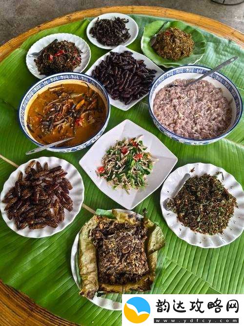 每天在汆肉中醒来