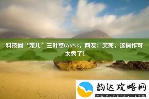 科技圈‘宠儿’三叶草GY6793网友