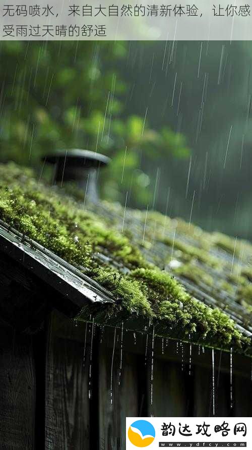 **喷水来自大自然的清新体验让你感受雨过天晴的舒适