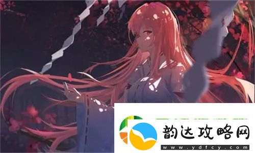 国产无线卡一卡二区别在哪—平台详细解析