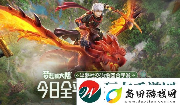 梦想新大陆攻略大全