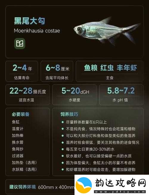 又大又长又粗又大又黑且极具特色的奇妙事物