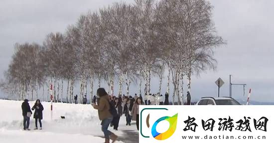 够狠！日本北海道阻无良游客未果