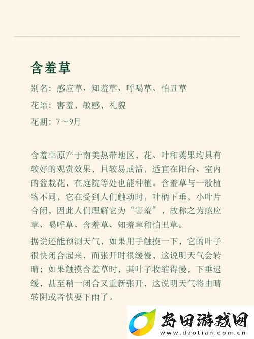 揭示情感深邃的含羞草电视剧背景故事