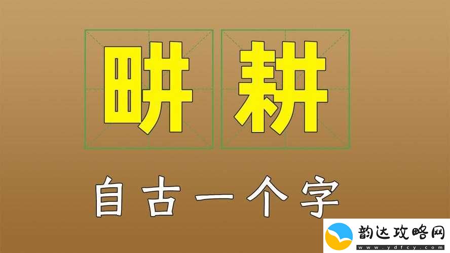 揭秘！探究刘畊宏名字中罕见畊字的正确读音及背后故事