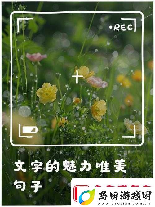 最好好看的中文字幕