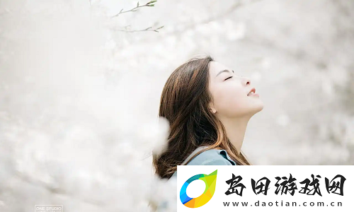 今天高清视频在线观看