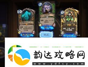 炉石传说海盗萨卡组构筑攻略一览