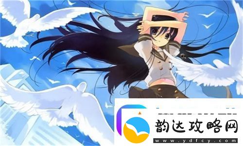 法国满天星八尺夫人菲律宾