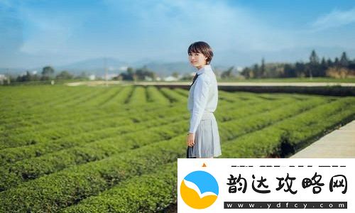 青青河边草免费高清电影