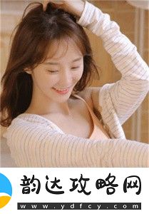 国产max3232芯片技术的巅峰之作