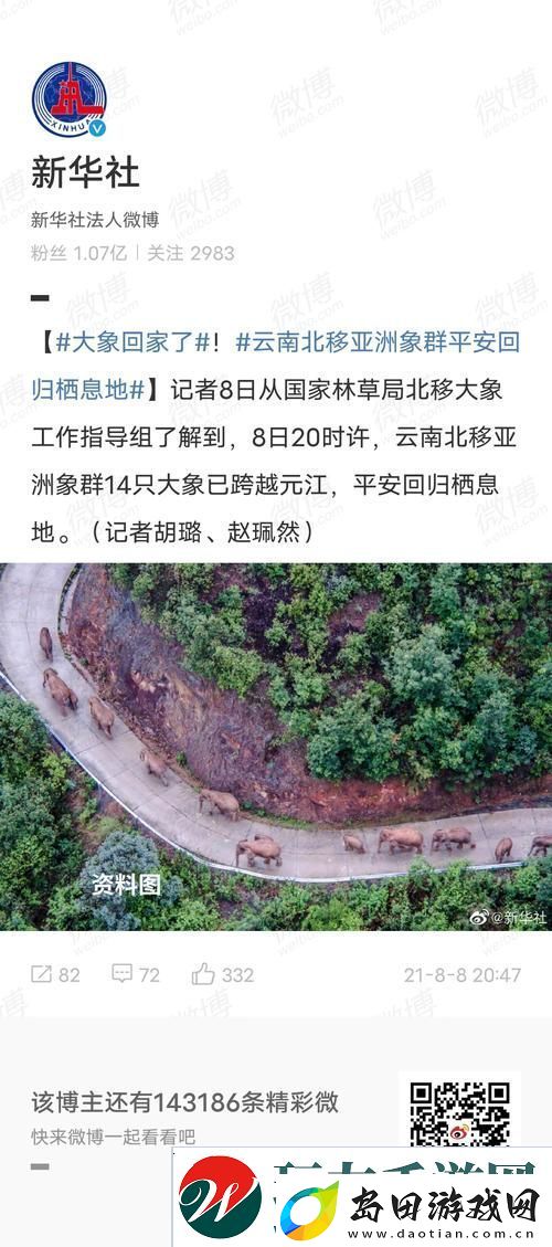 大象回家永远不迷路