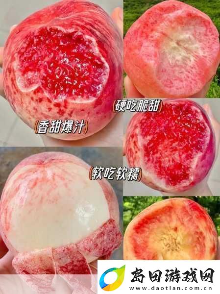 菠萝和水蜜桃的情侣名