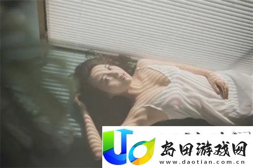 四叶草M码和欧洲码的888区别