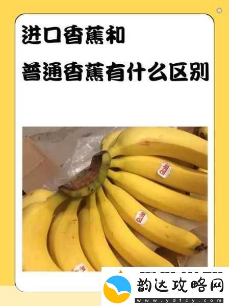 国产香蕉和进口香蕉的价格比较