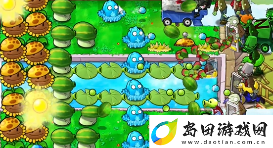 植物大战僵尸杂交版泳池防守第五关怎么过