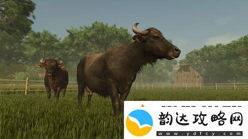 模拟农场