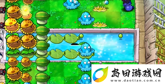 植物大战僵尸杂交版泳池防守第五关怎么过
