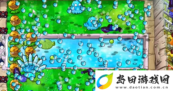 植物大战僵尸杂交版泳池防守第五关怎么过