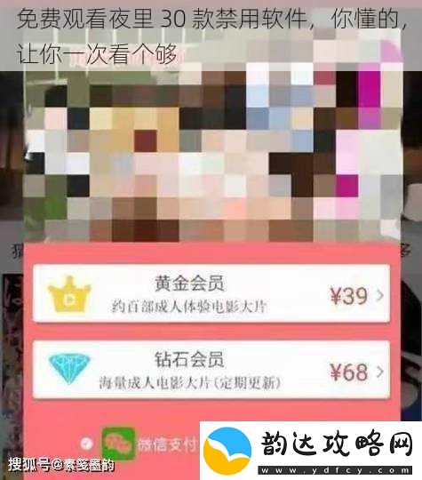免费观看夜里