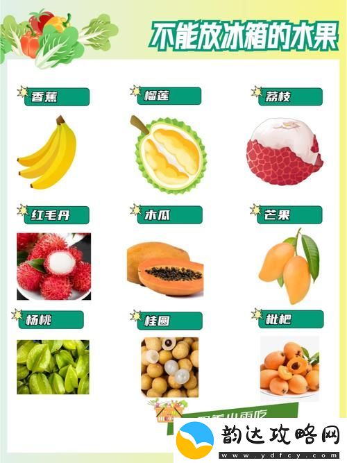 在夏季阳光下的美味盛宴—榴莲香蕉苹果哈密瓜水蜜桃