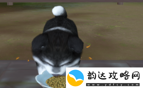 浮生忆玲珑府邸怎么解锁府邸解锁方法介绍