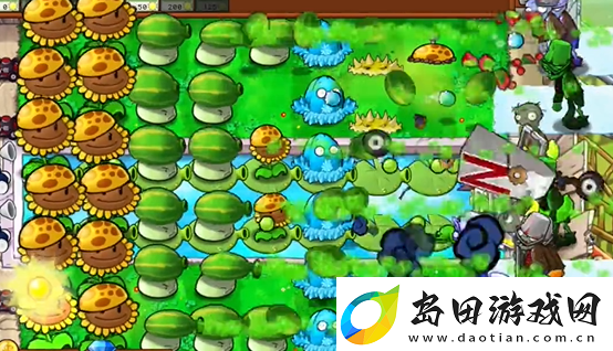 植物大战僵尸杂交版泳池防守第五关怎么过