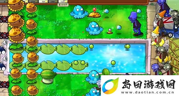 植物大战僵尸杂交版泳池防守第五关怎么过