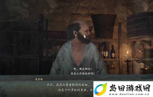 龙之信条2被掳走的少年任务怎么做