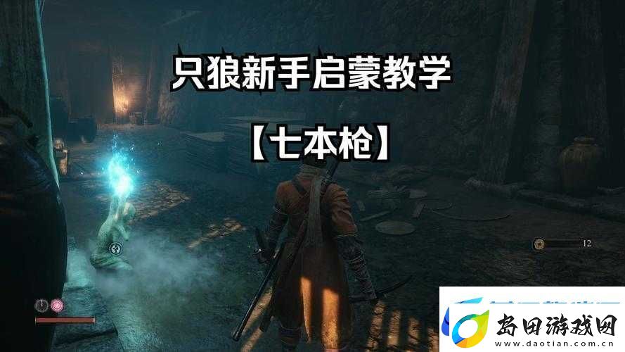 只狼枪的详细经验攻略玩法分享