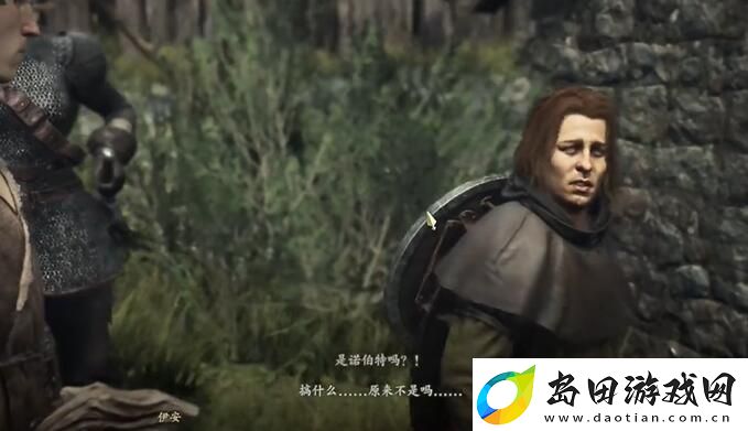 龙之信条2兄弟的努力任务怎么做