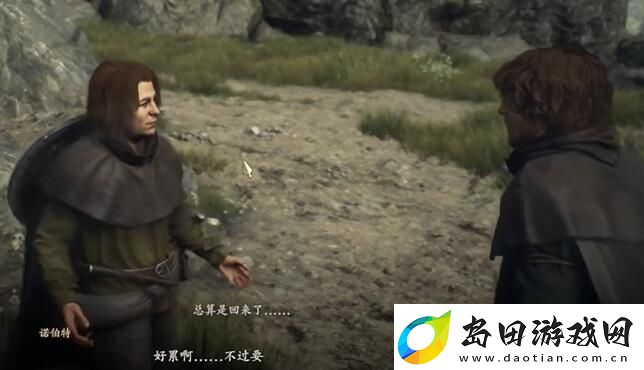 龙之信条2兄弟的努力任务怎么做